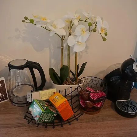 Daire Glamorous Flat In Merzmuhler