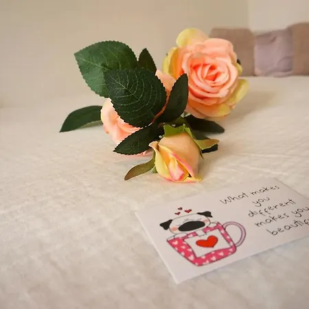 Glamorous Flat In Daire